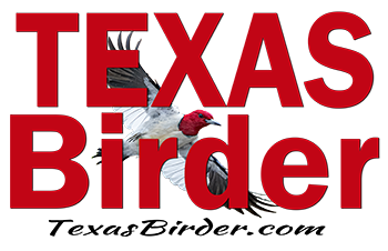 Texas Birder - Everything for Texas Birders