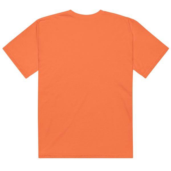 Texas Birder Unisex Garment-Dyed Heavyweight T-Shirt - Image 7