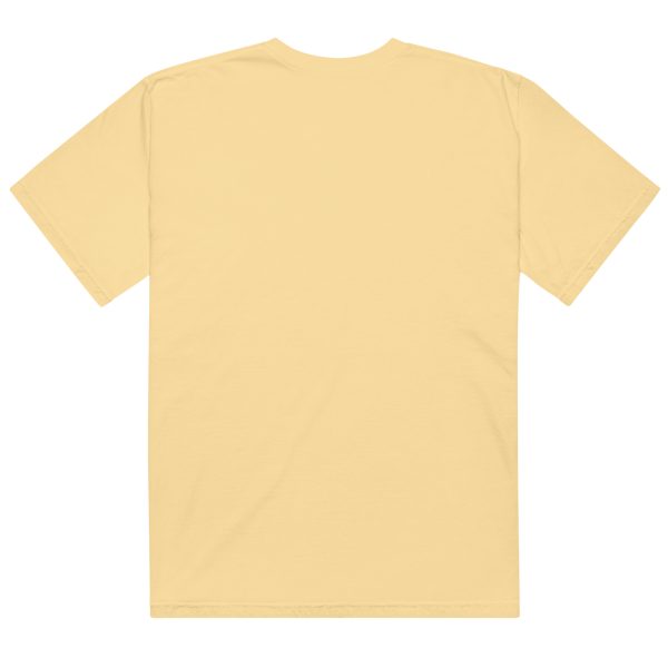 Texas Birder Unisex Garment-Dyed Heavyweight T-Shirt - Image 29