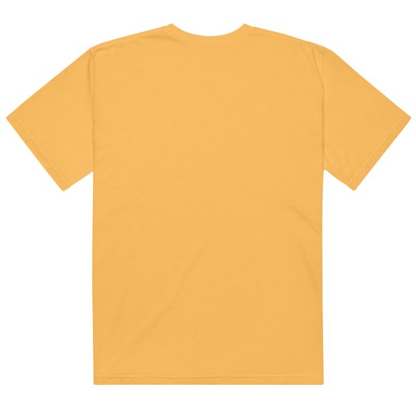 Texas Birder Unisex Garment-Dyed Heavyweight T-Shirt - Image 23