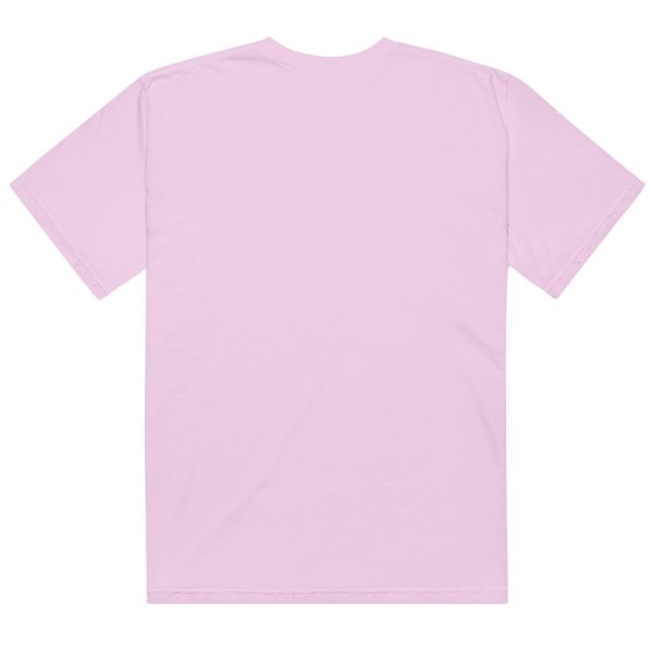 Texas Birder Unisex Garment-Dyed Heavyweight T-Shirt - Image 25