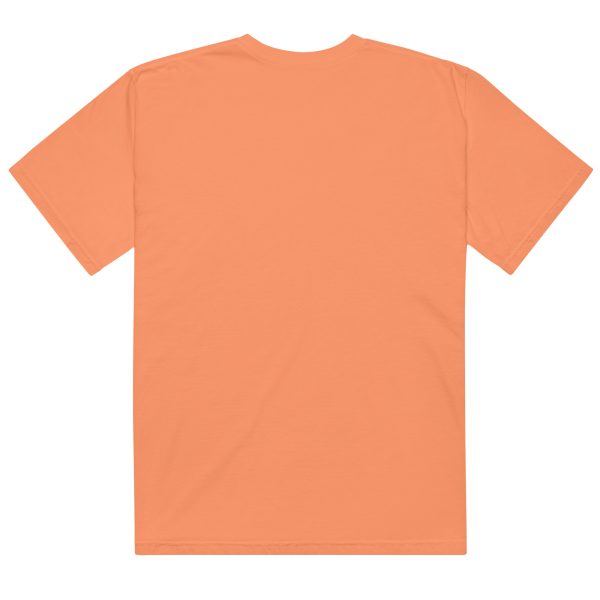 Texas Birder Unisex Garment-Dyed Heavyweight T-Shirt - Image 15