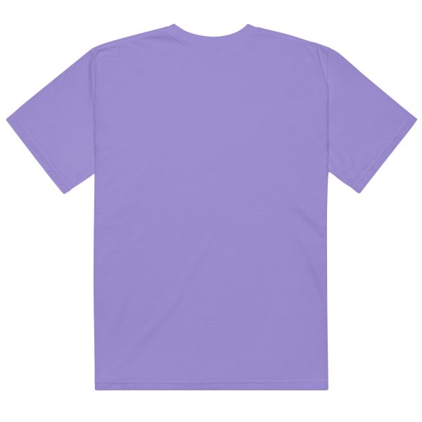 Texas Birder Unisex Garment-Dyed Heavyweight T-Shirt - Image 11