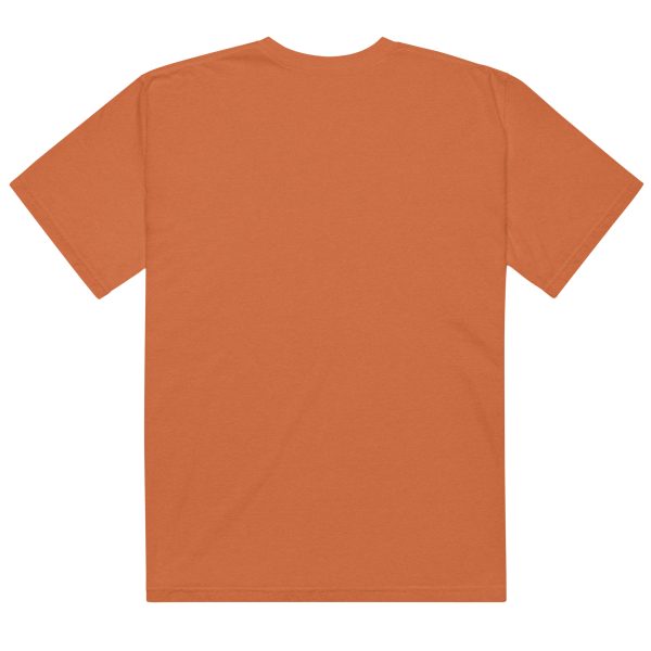 Texas Birder Unisex Garment-Dyed Heavyweight T-Shirt - Image 5
