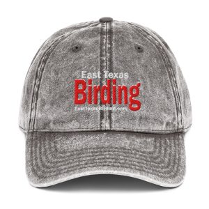 East Texas Birding