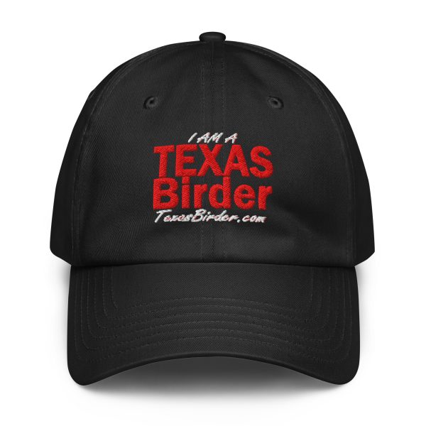I Am a Texas Birder Under Armour® Dad Hat - Image 2