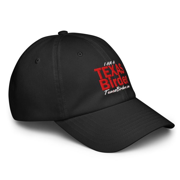 I Am a Texas Birder Under Armour® Dad Hat - Image 4