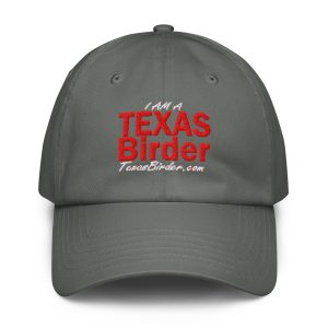 I Am a Texas Birder Under Armour® Dad Hat