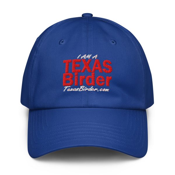 I Am a Texas Birder Under Armour® Dad Hat - Image 10