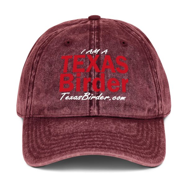 I Am a Texas Birder - Vintage Cotton Twill Cap - Image 9